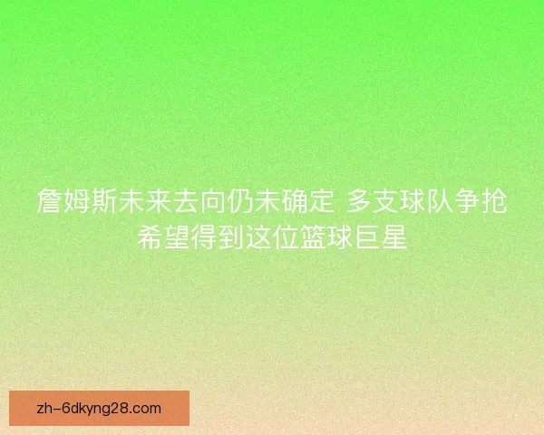詹姆斯未来去向仍未确定 多支球队争抢希望得到这位篮球巨星 詹姆斯未来去向仍未确定 多支球队争抢希望得到这位篮球巨星