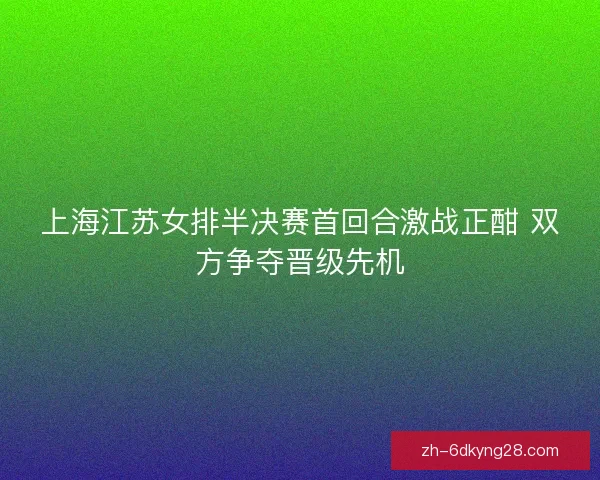 上海江苏女排半决赛首回合激战正酣 双方争夺晋级先机 上海江苏女排半决赛首回合激战正酣 双方争夺晋级先机
